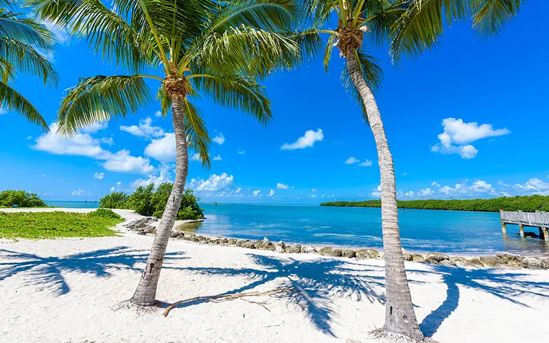 Florida Keys travel scene with bright water and shoreline.