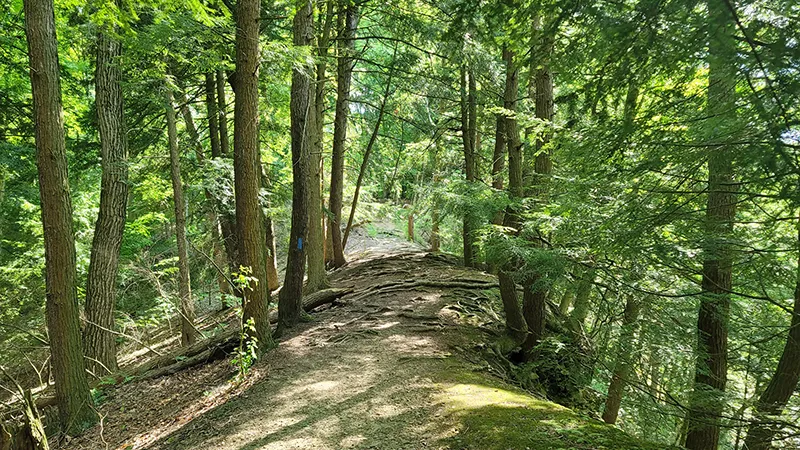 Michigan Hidden Hiking Gems