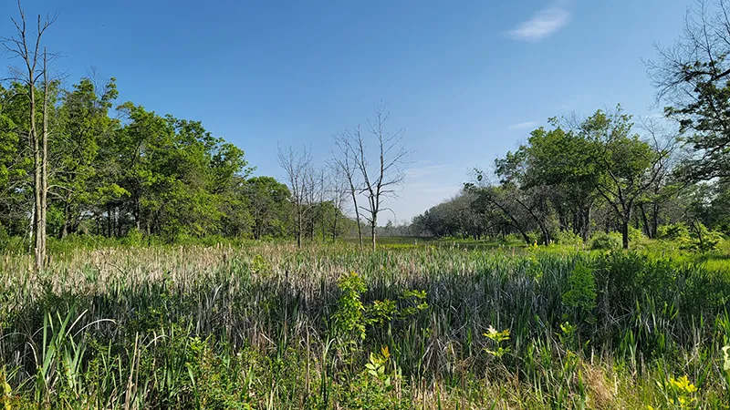 michigan hiking
