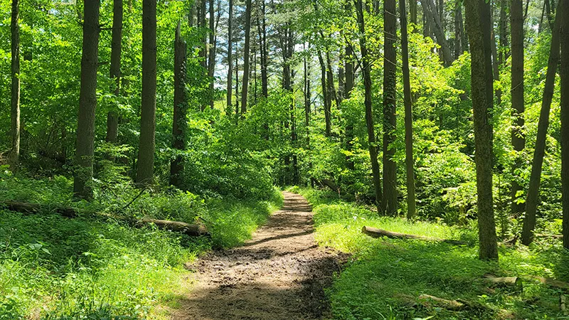 michigan hiking