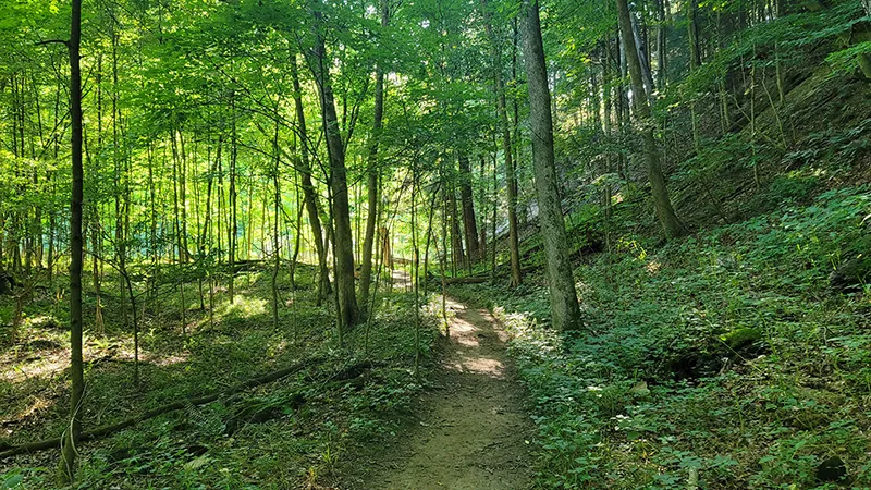 michigan hiking
