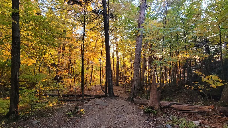 michigan hiking