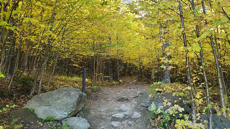 featured image