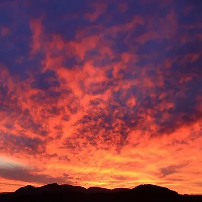 Willcox Things To Do