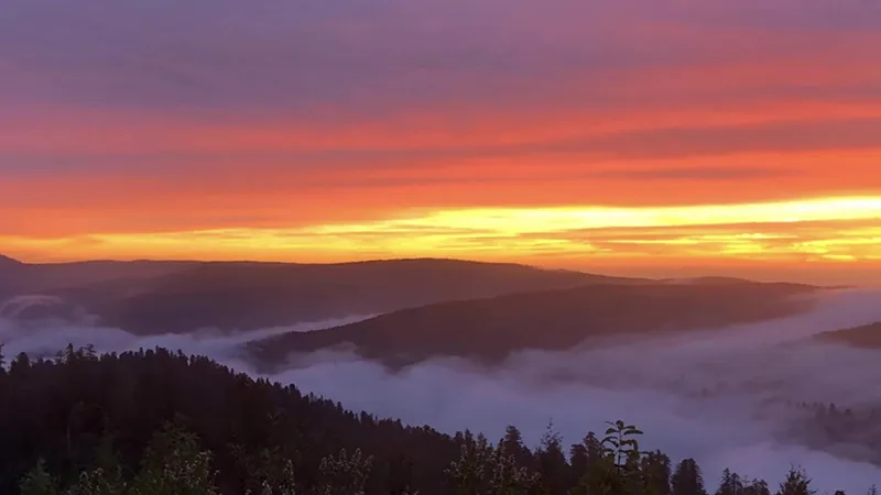 Bald Hills Road & Redwood Creek Overlook