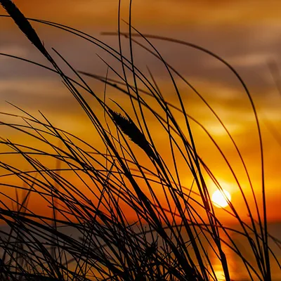 Port Allen Attractions