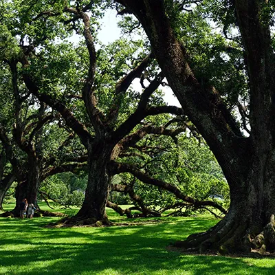 Cleveland Attractions