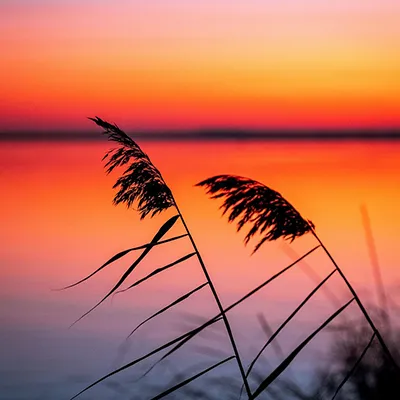 Walnut Creek Beaches