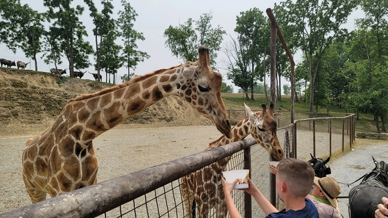 Farm At Walnut Creek