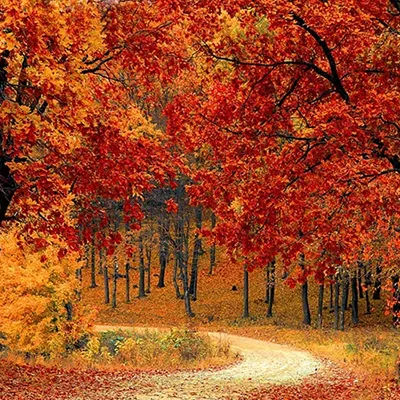 Cookeville Attractions