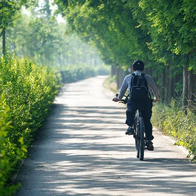 Monterey Attractions