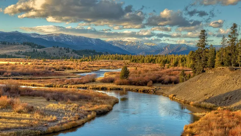 Fly fishing near West Yellowstone, Montana with mountains in background