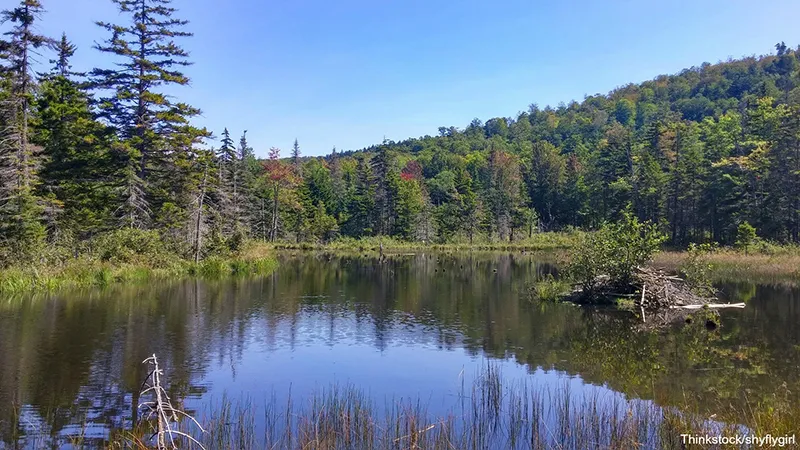 Marsh-Billings-Rockefeller