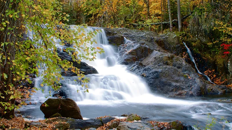Thundering Brook Falls Trail