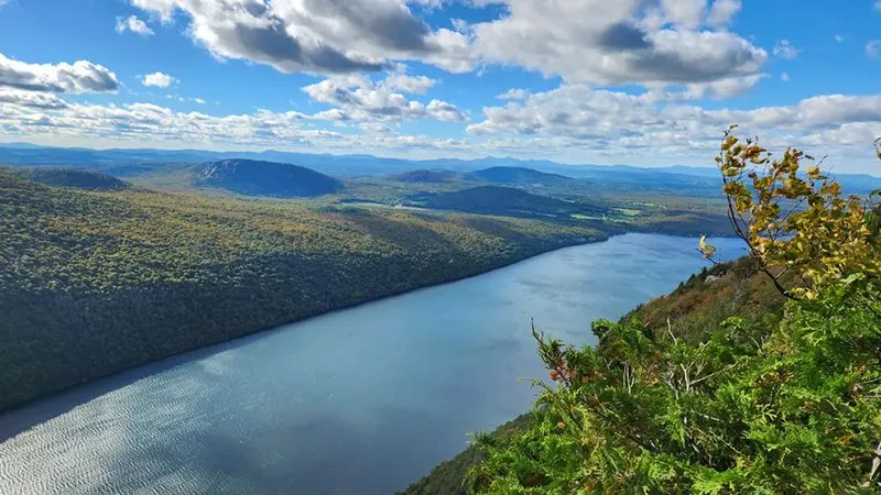 Willoughby State Forest