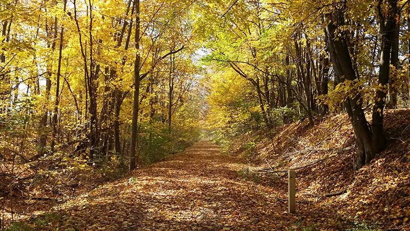 sippo valley trail