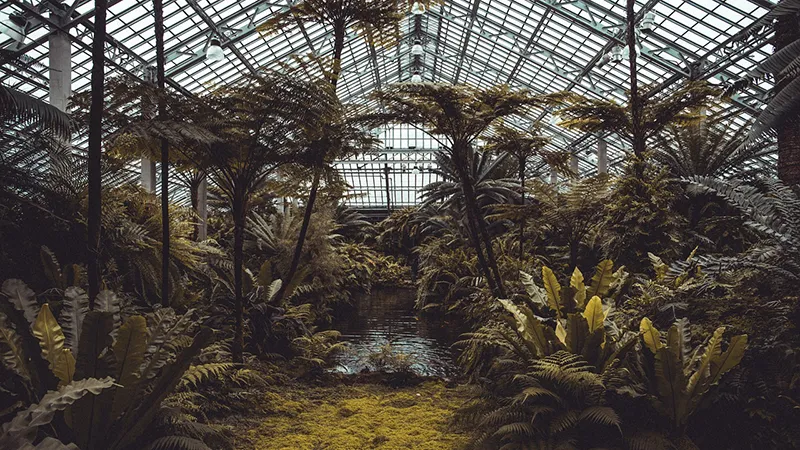Garfield Park Conservatory
