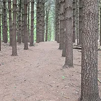 Amherst Hiking thumbnail