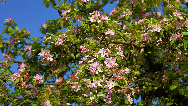 featured image