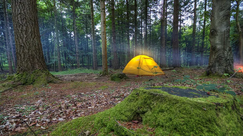 Camping