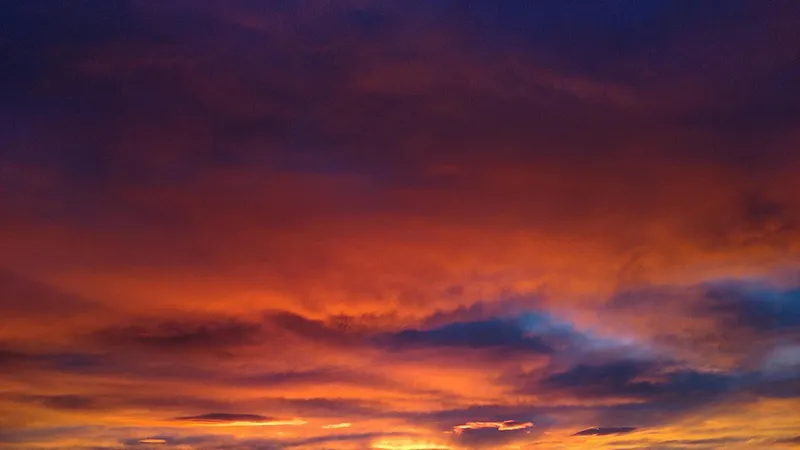 featured image
