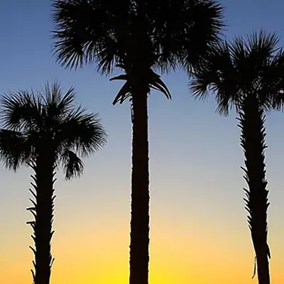 Williston Things To Do