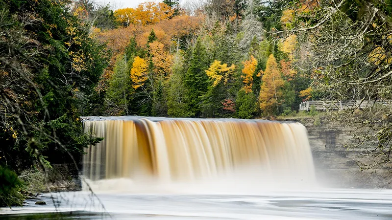 Tahquamenon Falls State Park River Trail